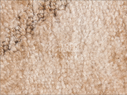Ковролин Associated Weavers Tango 30 фото 1 | FLOORDEALER